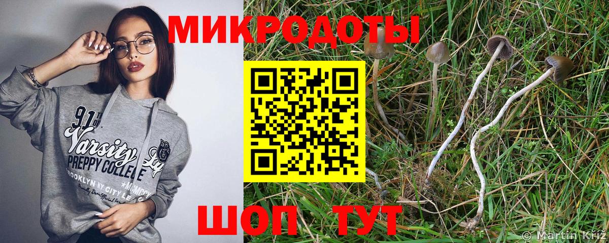 Псилоцибиновые грибы MAGIC MUSHROOMS  Вход с VPN  Клинцы 